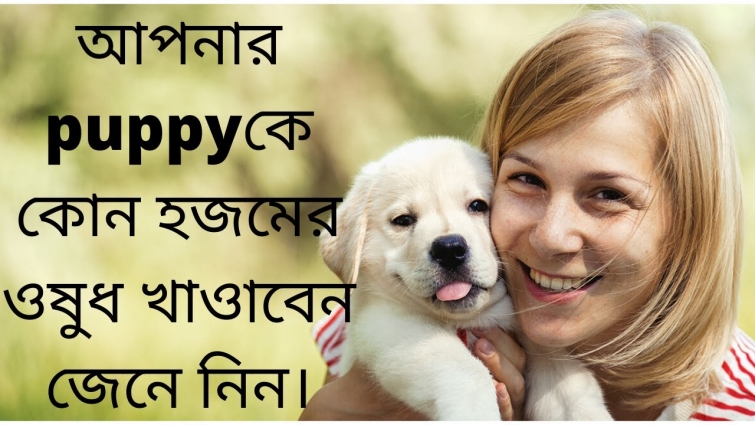 Digestives for puppy | Digestion medicine for puppy | আপনার puppyকে কোন হজমের ওষুধ খাওাবেন জেনে নিন।