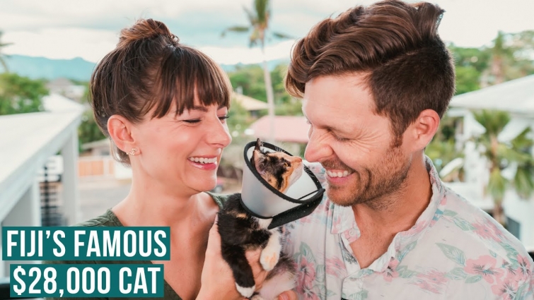 Saving Animals During A Pandemic