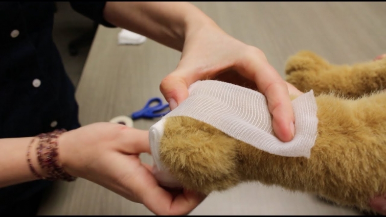 Pet First Aid: How to bandage your pet's paw in case of emergency
