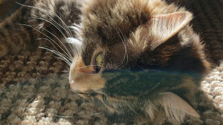 6 months past expiration date!!!!! 💖