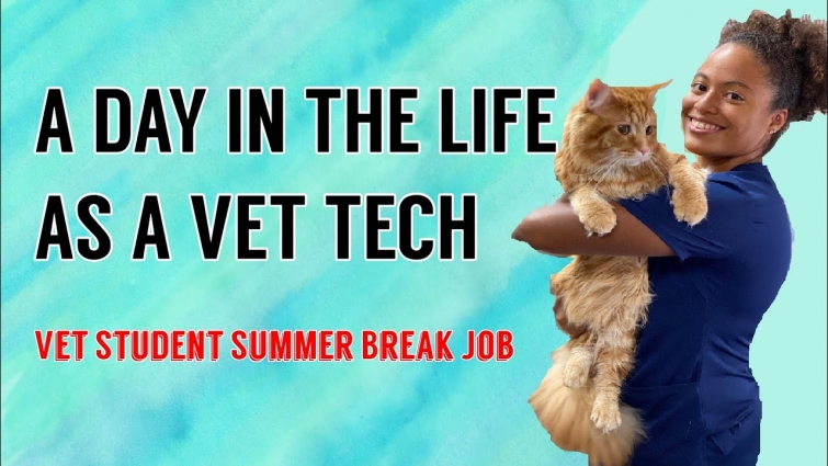 My Life As A Vet Tech | Vet School Summer Break