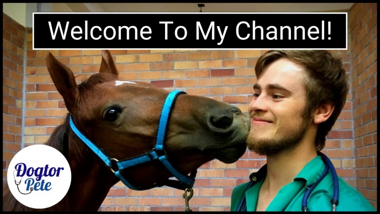 WELCOME To My YouTube Channel! │ Dogtor Pete