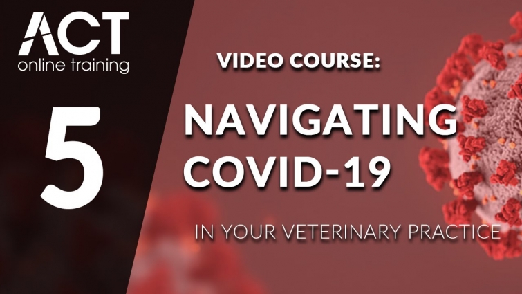 COVID-19: Motivating your Staff By Jessica DeCesare, CVPM