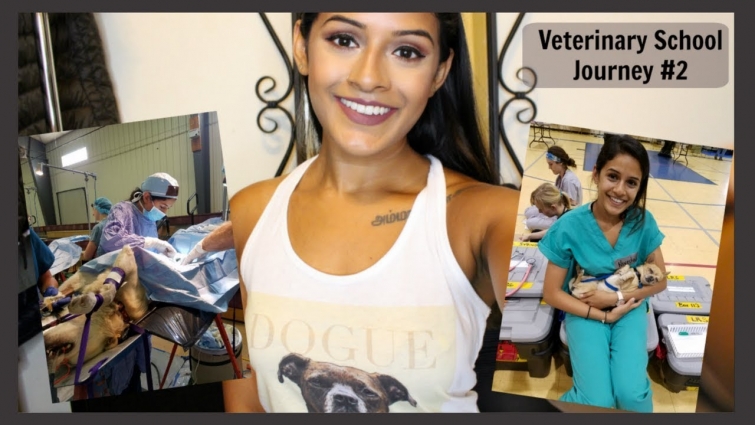 Veterinary School | What to Expect | Is it hard?