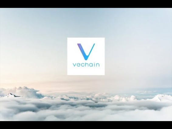 Vechain(VET) needs to have an online summit this year