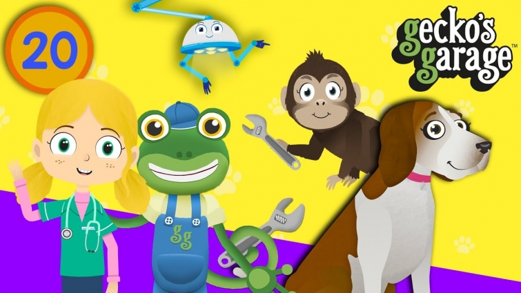 Learn Animals With Gecko & Dr Poppy | Gecko's Garage | Educational Animal Videos For Toddlers