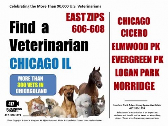 Find a Veterinarian in Chicago IL   Find a Chicago Veterinarian Review
