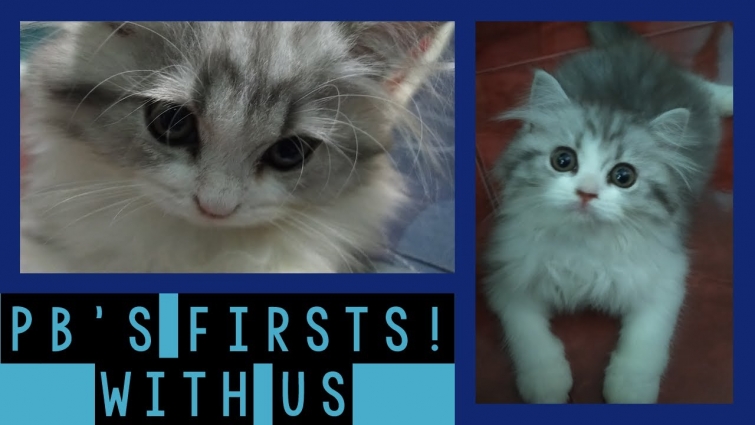 PB's FIRSTS (Bath & Vet Visit) | WEEK #1