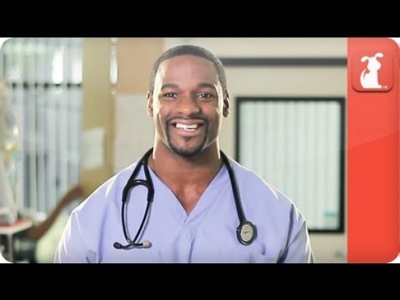 Safe Treats and Dangerous Treats For Your Dog – Ask the Vet