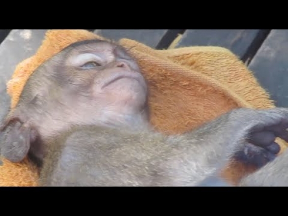 Get Happy with Better Health's Lori| Can Movement After treatment by Veterinarian