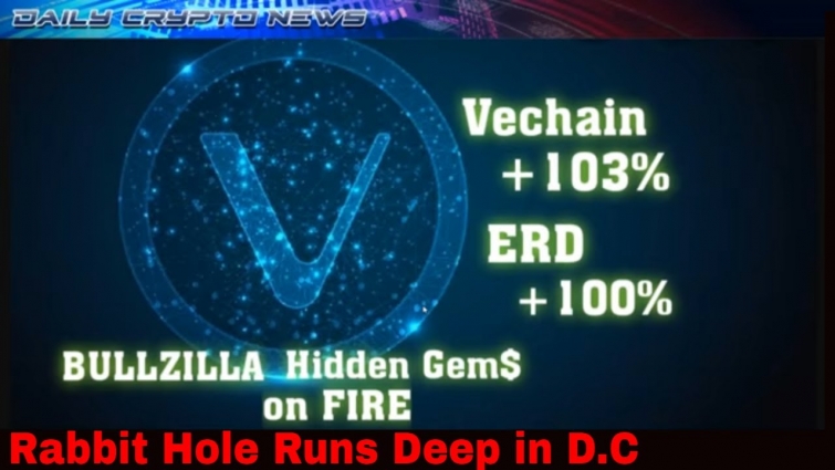 Deloitte: VeChain #VET safer and more scalable than ETH.. Hidden Gems On FIRE #ERD +100% Rabbit hole