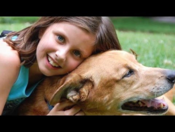 24 Hour Emergency Vet Austin TX – Veterinarian Pet Care