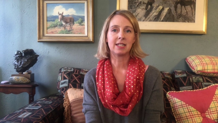 Dog Fireworks Phobia Survival Guide – Video 3: Customize this course