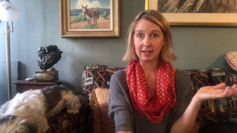 Dog Fireworks Phobia Survival Guide – Video 23: Additional Strategies for Managing Fear & Anxiety