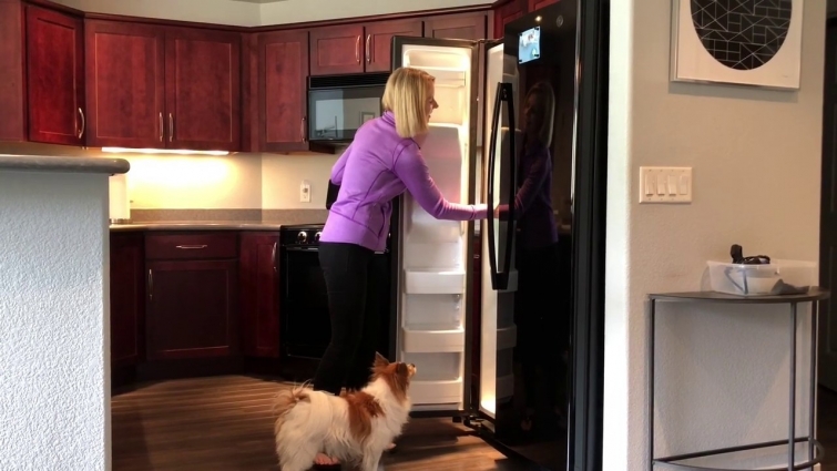 Dog Fireworks Phobia Survival Guide – Video 21: Storing Homemade Dog Treats in Your Freezer