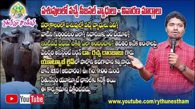 Youtube Live With veterinary assistant surgeon dr. Rachha Rambabu || June 21 – 9 AM || Rythunestham