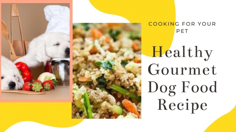 HEALTHY + HOMEMADE (WHOLE) DOG FOOD RECIPE | COOKING FOR YOUR PET