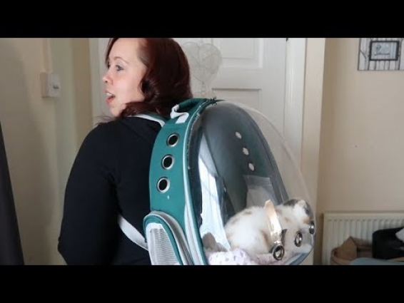 KITTEN GETS HER FIRST VET VISIT IN NEW CARRIER