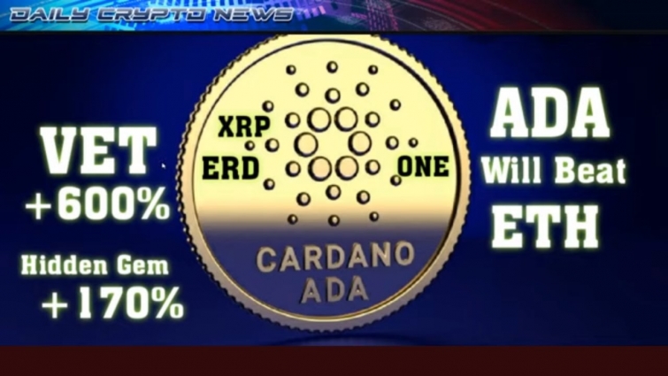 Charles Hoskinson #ADA is clearly superior #ETH . 600% Bull Rally #VET. #ERD +170% .  #XRP in D.C