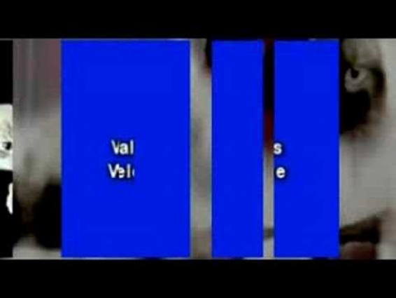 Veterinarian Video Internet Infomercial Advertising Service