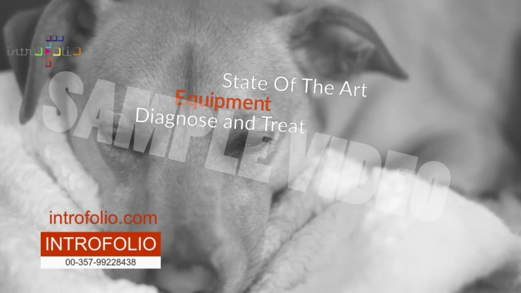 Veterinarian and Veterinary business introduction video