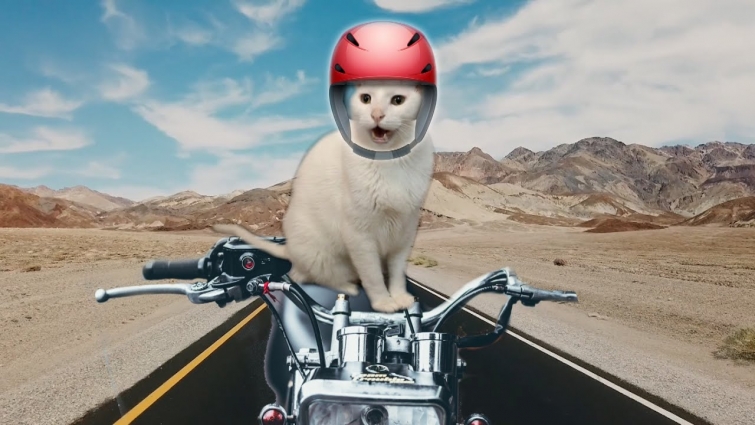 This Old Man – Cat Version