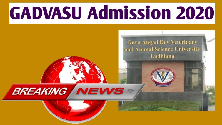 gadvasu university ludhiana| Admission 2020| bvsc 2020| veterinary science course| veterinary exam