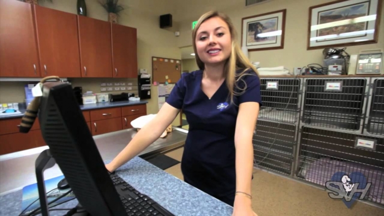 Sierra Veterinary Hospital