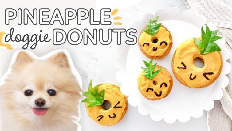 DIY Donuts for Dogs Recipe // Pineapple doggie donuts