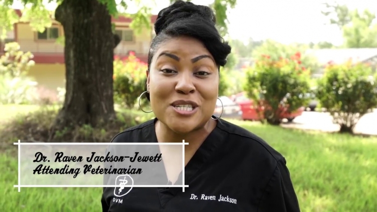 Inside Chimp Haven: Veterinary Care