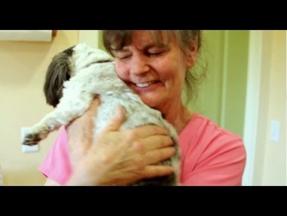 Vet Clinic | Corvallis Oregon | All Creatures Great and Small | Equine