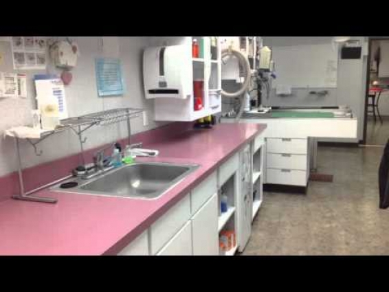 Veterinarian Hospital Krum Texas