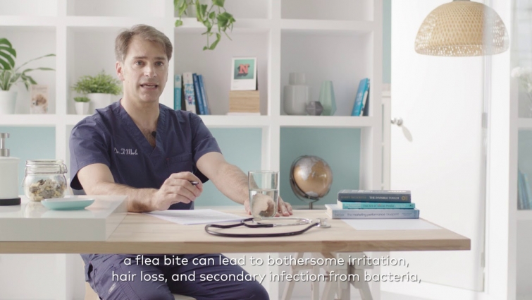 Veterinarian testimonial on flea and tick for cat – We are family