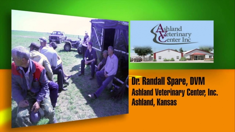 Meet the Veterinarian Dr. Randall Spare