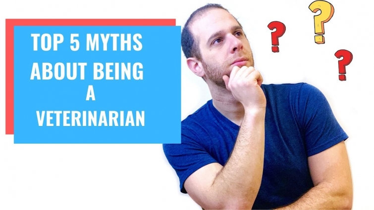 Top 5 Myths About Being a Veterinarian