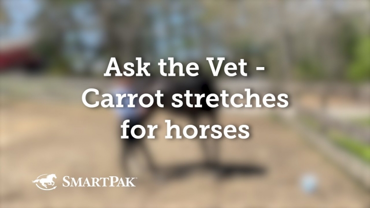 Ask the Vet – Carrot stretches for horses