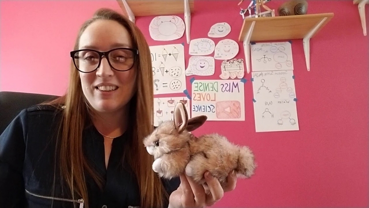 Pretend to be a Veterinarian: Blood and Urine Samples