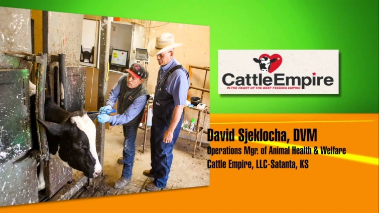 Meet The Veterinarian Dr. Sjeklocha