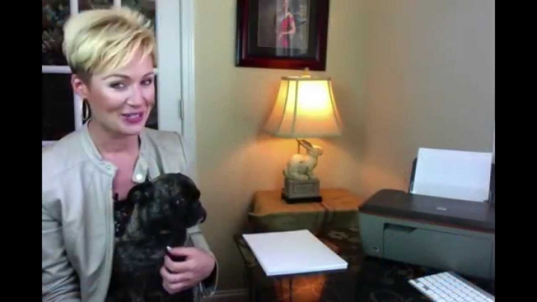 Best Veterinarian in South Florida