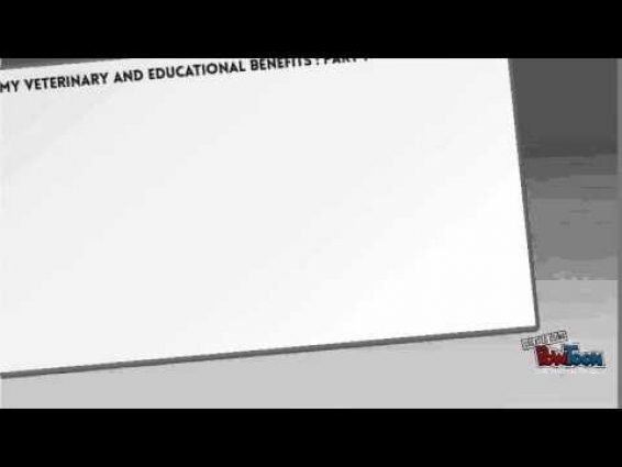 Army Veterinarian Officer