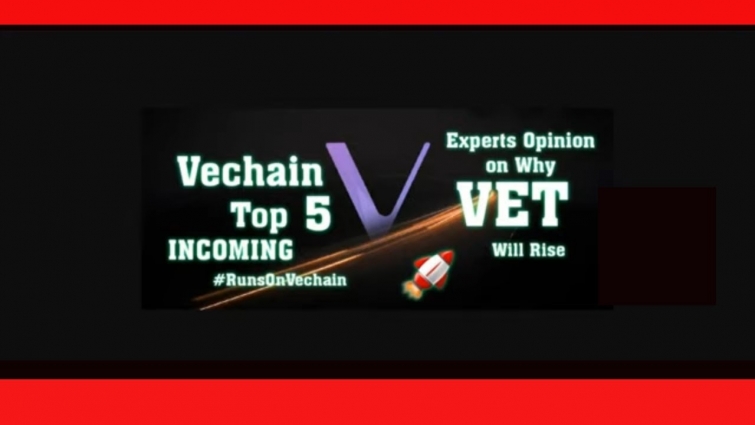 Bullish Technical Outlook And Partnerships Driving #VET.  Why Vechain Will Rise. BULLISH NETWORK