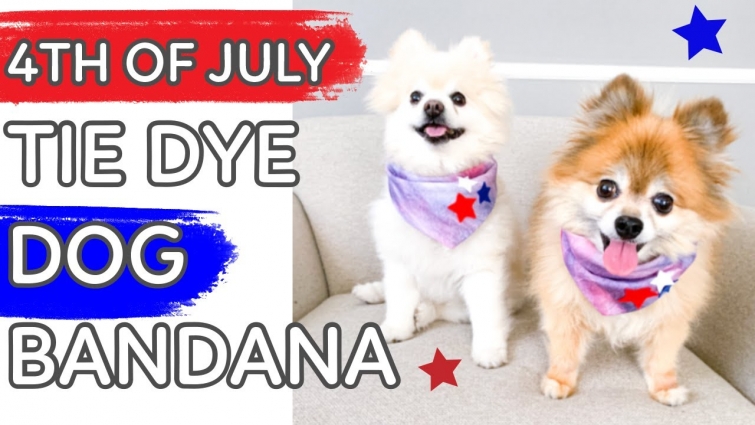 4th Of July Tie Dye Bandana //  No Sew Easy Dog Bandana // DIY Tie dye