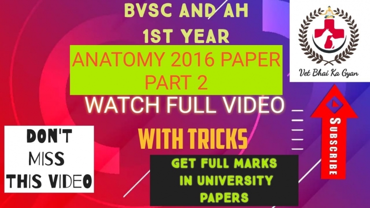 1st YEAR BVSc AND AH ANATOMY  2016 SECTION B