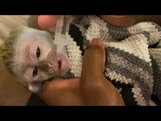 WE WERE HOPING FOR BETTER NEWS!! (MOJO UPDATE)