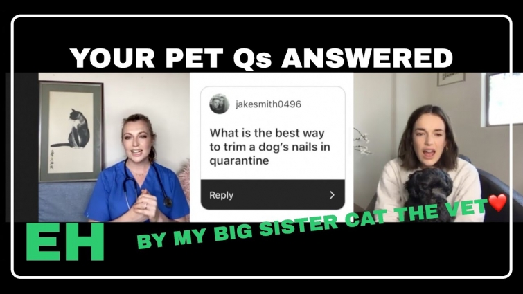 YOUR PET QUESTIONS ANSWERED!! By Cat-The-Vet (my big sister!!) xx