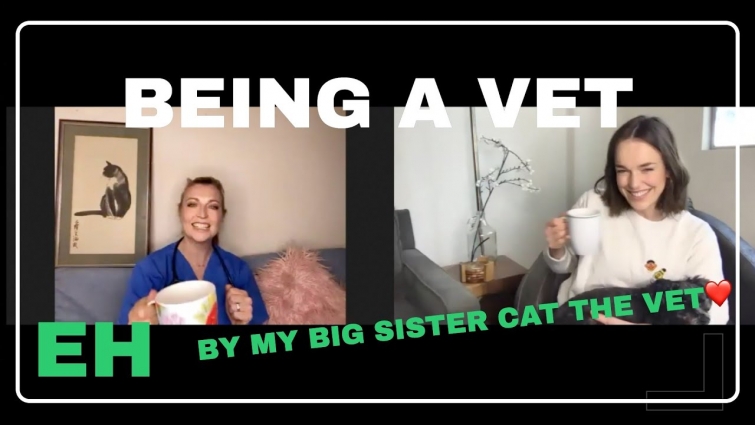 BEING A VET…(MOSTLY) WITH CAT THE VET