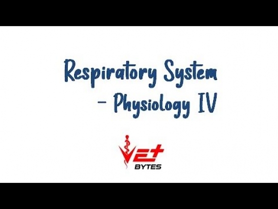 Regulation of Respiration | Respiratory Centre | Vet Bytes | Physiology