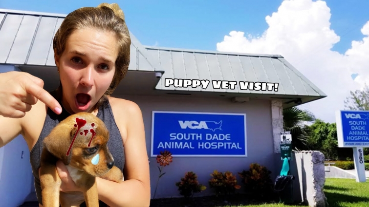 VET VISIT SAVES NEGLECTED PUPPY'S LIFE!