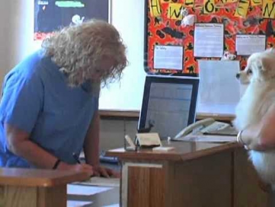 Northwoods Pet Care Center – Veterinarian Mount Pleasant, MI