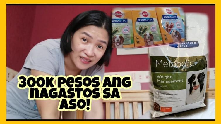 MAGASTOS MAG ALAGA NG ASO DITO SA IRELAND! DOG FOOD, VET (SURGERY), ETC.